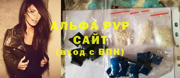 ECSTASY Богородицк