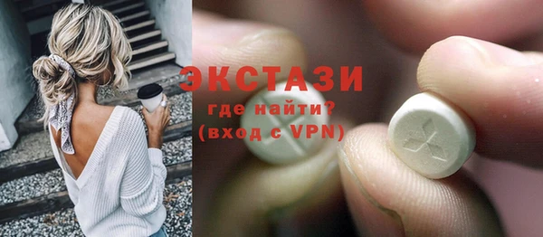 ECSTASY Богородицк